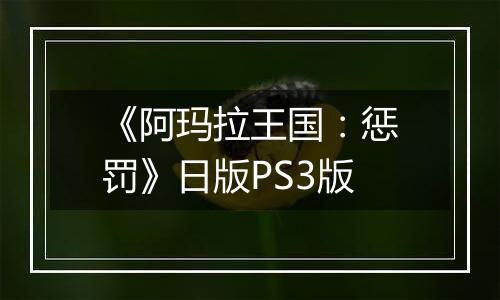 《阿玛拉王国：惩罚》日版PS3版