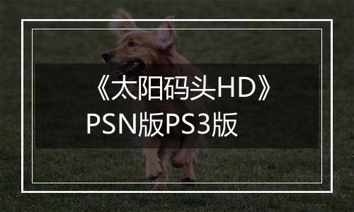 《太阳码头HD》PSN版PS3版