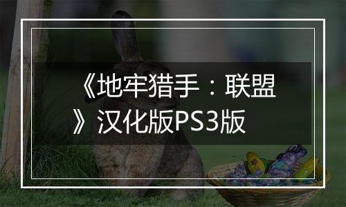 《地牢猎手：联盟》汉化版PS3版