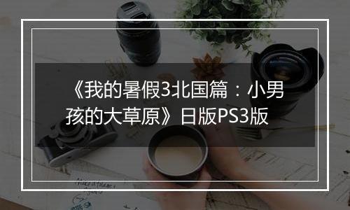 《我的暑假3北国篇：小男孩的大草原》日版PS3版