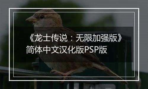 《龙士传说：无限加强版》简体中文汉化版PSP版