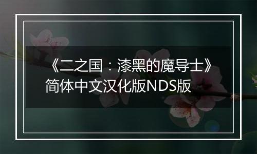 《二之国：漆黑的魔导士》简体中文汉化版NDS版