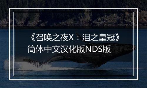 《召唤之夜X：泪之皇冠》简体中文汉化版NDS版