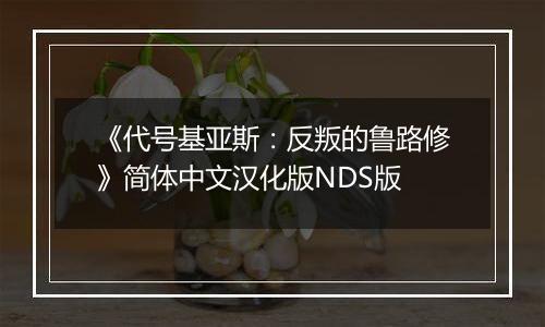《代号基亚斯：反叛的鲁路修》简体中文汉化版NDS版