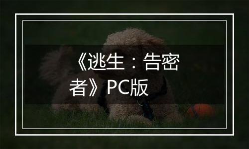 《逃生：告密者》PC版
