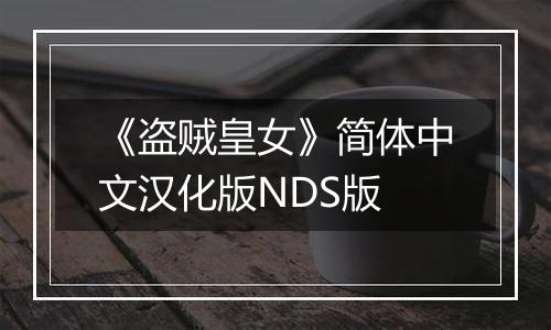 《盗贼皇女》简体中文汉化版NDS版