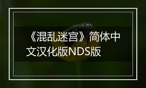 《混乱迷宫》简体中文汉化版NDS版