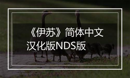 《伊苏》简体中文汉化版NDS版