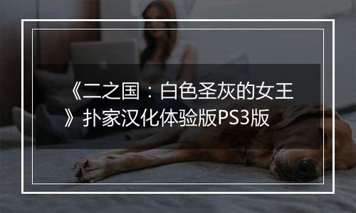 《二之国：白色圣灰的女王》扑家汉化体验版PS3版