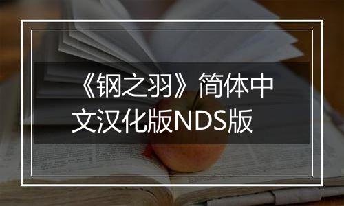 《钢之羽》简体中文汉化版NDS版