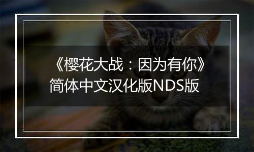 《樱花大战：因为有你》简体中文汉化版NDS版