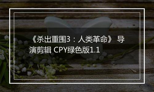 《杀出重围3：人类革命》 导演剪辑 CPY绿色版1.1