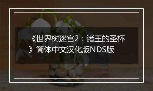 《世界树迷宫2：诸王的圣杯》简体中文汉化版NDS版