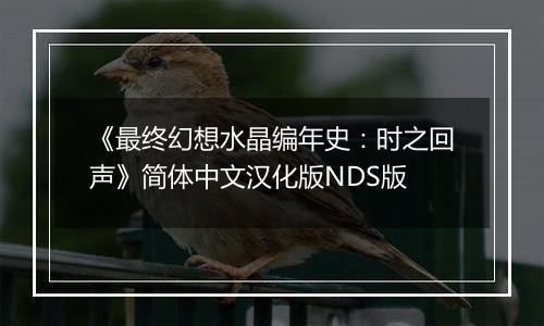 《最终幻想水晶编年史：时之回声》简体中文汉化版NDS版
