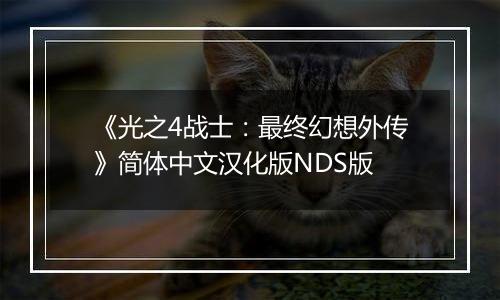 《光之4战士：最终幻想外传》简体中文汉化版NDS版