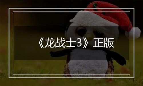 《龙战士3》正版