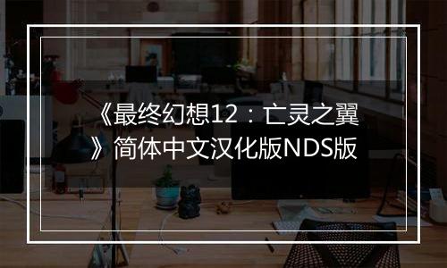 《最终幻想12：亡灵之翼》简体中文汉化版NDS版
