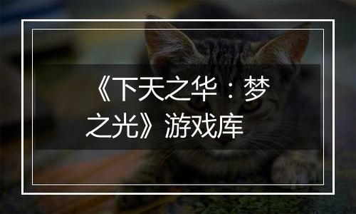 《下天之华：梦之光》游戏库