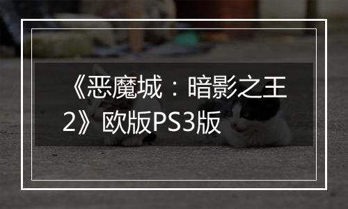《恶魔城：暗影之王2》欧版PS3版