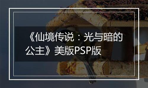 《仙境传说：光与暗的公主》美版PSP版