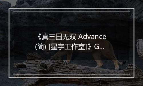《真三国无双 Advance (简) [星宇工作室]》GBA ROM 中文版