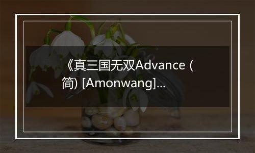 《真三国无双Advance (简) [Amonwang]》GBA ROM 中文版