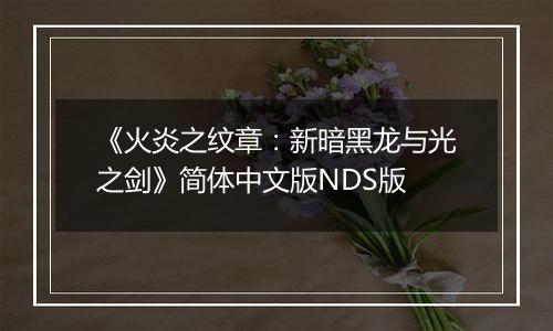 《火炎之纹章：新暗黑龙与光之剑》简体中文版NDS版