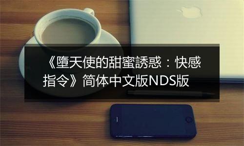 《墮天使的甜蜜誘惑:快感指令》简体中文版NDS版