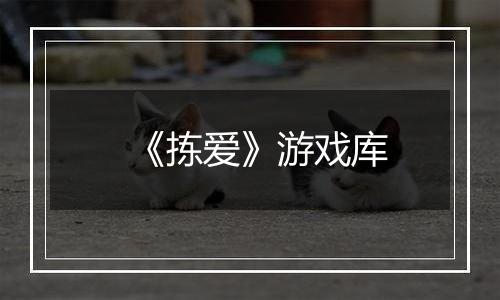 《拣爱》游戏库