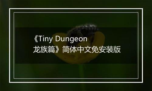 《Tiny Dungeon 龙族篇》简体中文免安装版