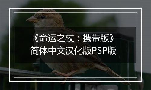 《命运之杖:携带版》 简体中文汉化版PSP版