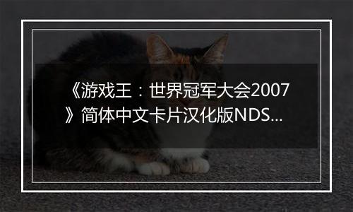 《游戏王:世界冠军大会2007》简体中文卡片汉化版NDS版