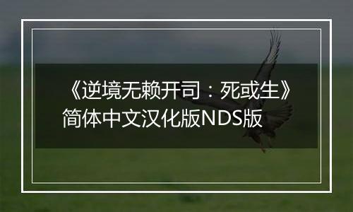 《逆境无赖开司:死或生》简体中文汉化版NDS版