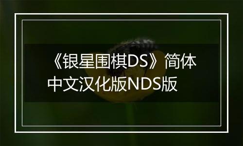 《银星围棋DS》简体中文汉化版NDS版