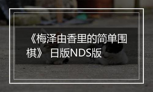 《梅泽由香里的简单围棋》 日版NDS版
