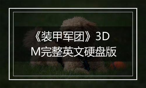 《装甲军团》3DM完整英文硬盘版