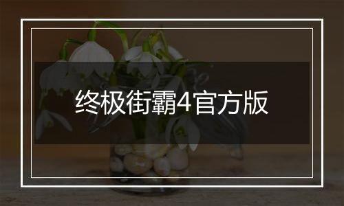 终极街霸4官方版