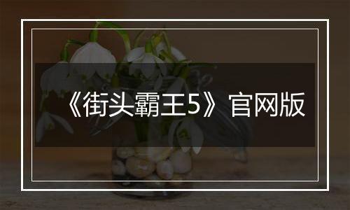 《街头霸王5》官网版