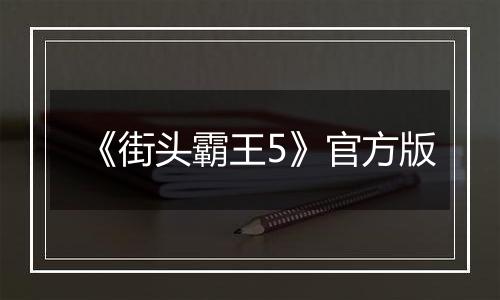 《街头霸王5》官方版