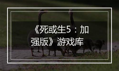 《死或生5：加强版》游戏库