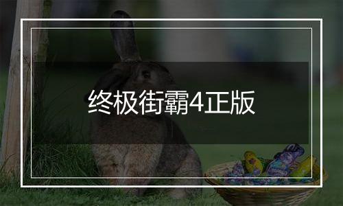 终极街霸4正版