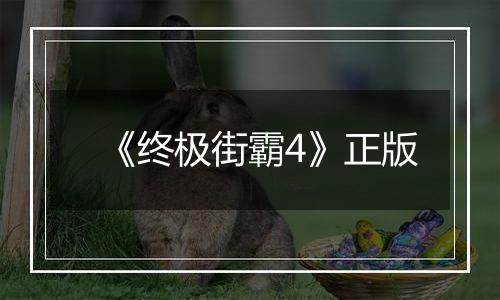 《终极街霸4》正版