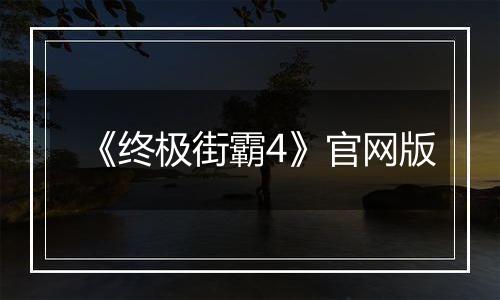 《终极街霸4》官网版