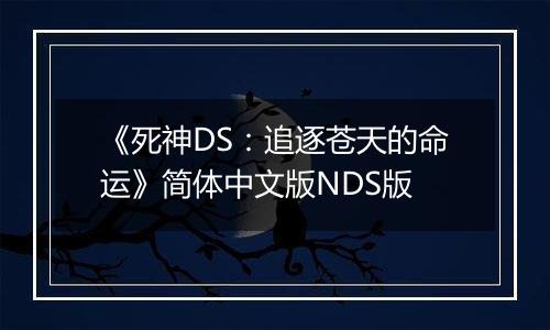 《死神DS：追逐苍天的命运》简体中文版NDS版