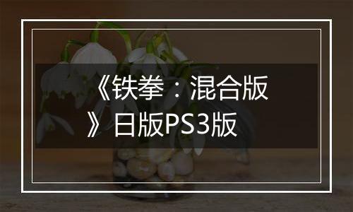 《铁拳：混合版》日版PS3版