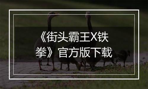 《街头霸王X铁拳》官方版下载