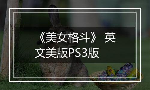《美女格斗》 英文美版PS3版