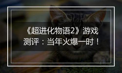 《超进化物语2》游戏测评：当年火爆一时！