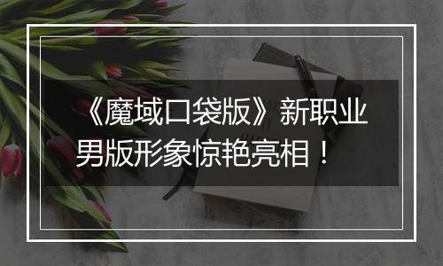 《魔域口袋版》新职业男版形象惊艳亮相！