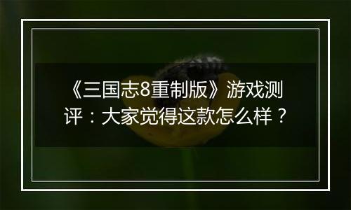 《三国志8重制版》游戏测评：大家觉得这款怎么样？